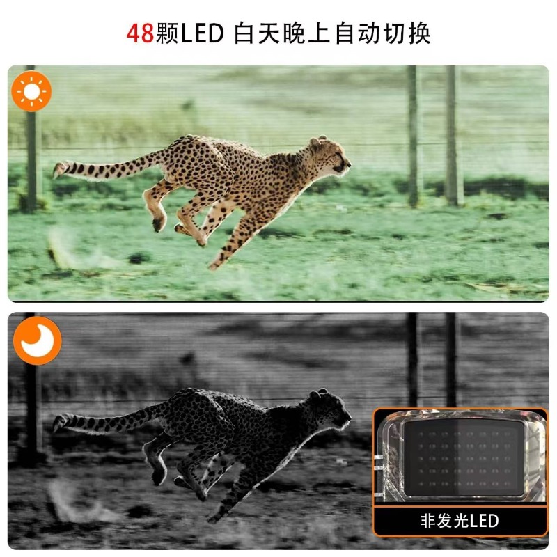 OFERTA IMPERDÍVEL DL001 Câmera - Outdoor Hunting Videos avaliação e preço