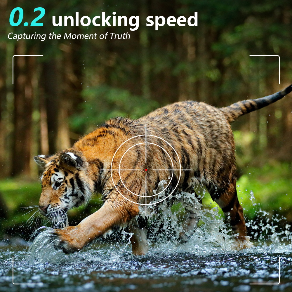 Câmera de Caça Infravermelha P - Hunting Outdoors Card avaliação e preço