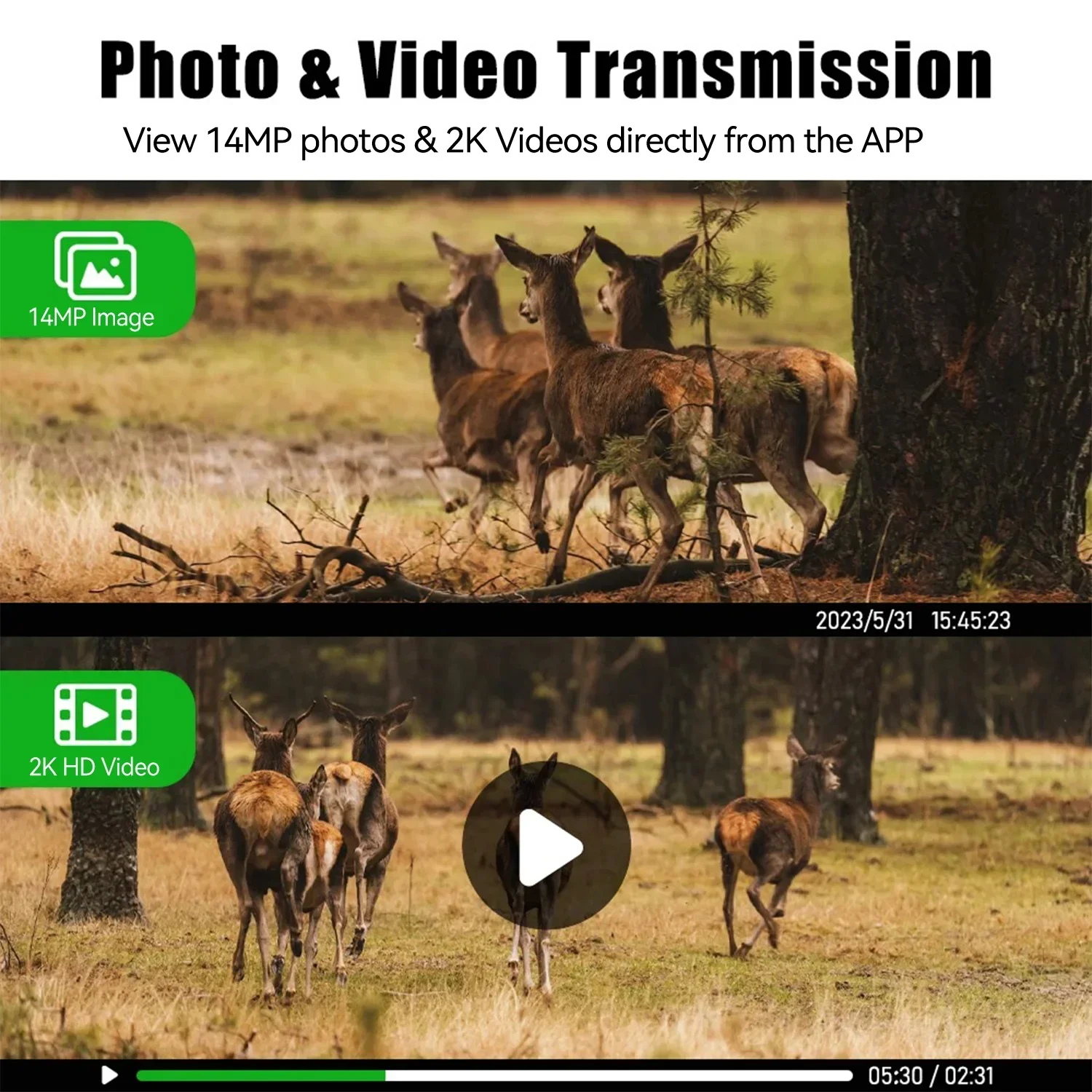 Cartão SIM Celular 4G LTE da U - Hunting Outdoors Card avaliação e preço