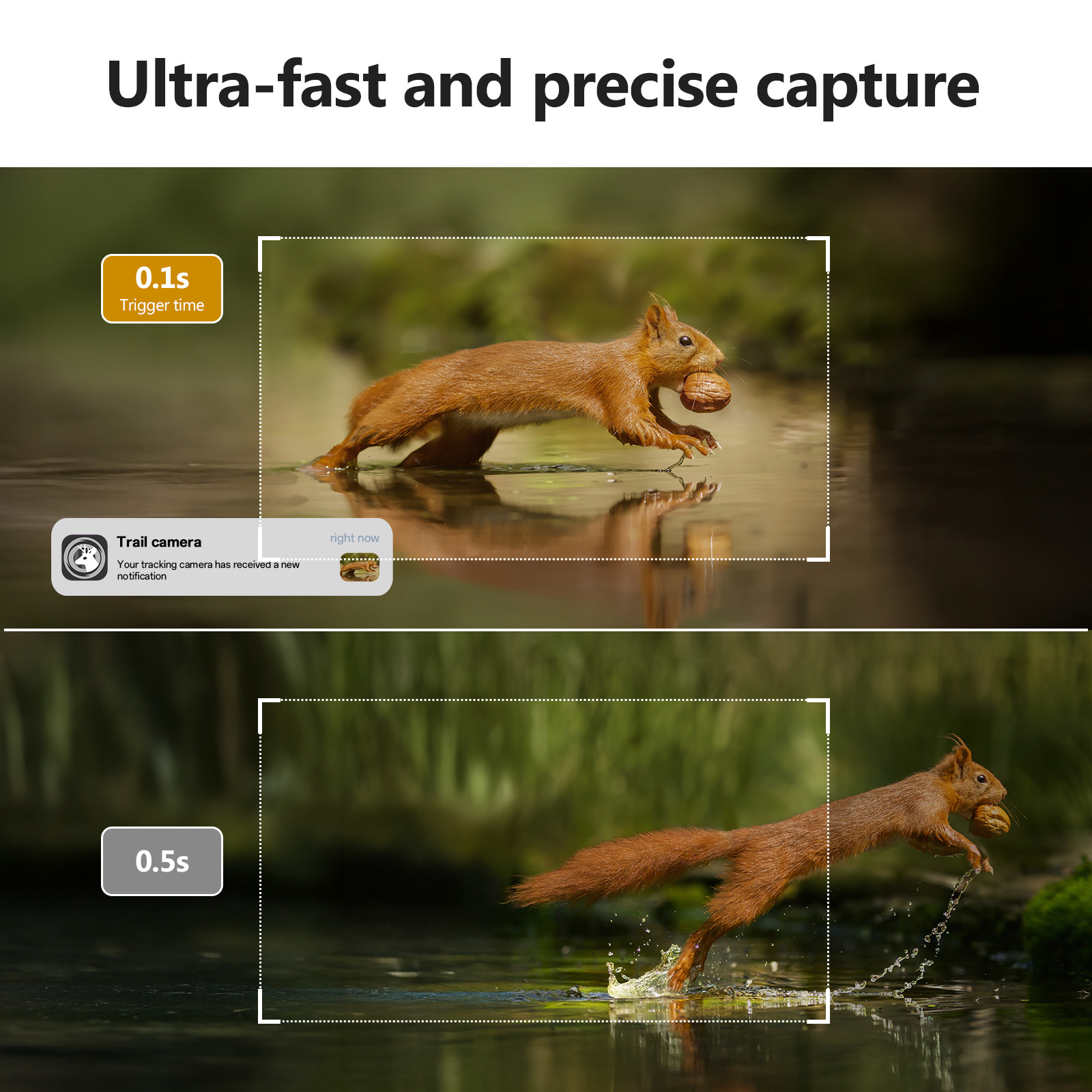 Wesecuu 3mp câmera de caça mov - Hunting Outdoors Card avaliação e preço