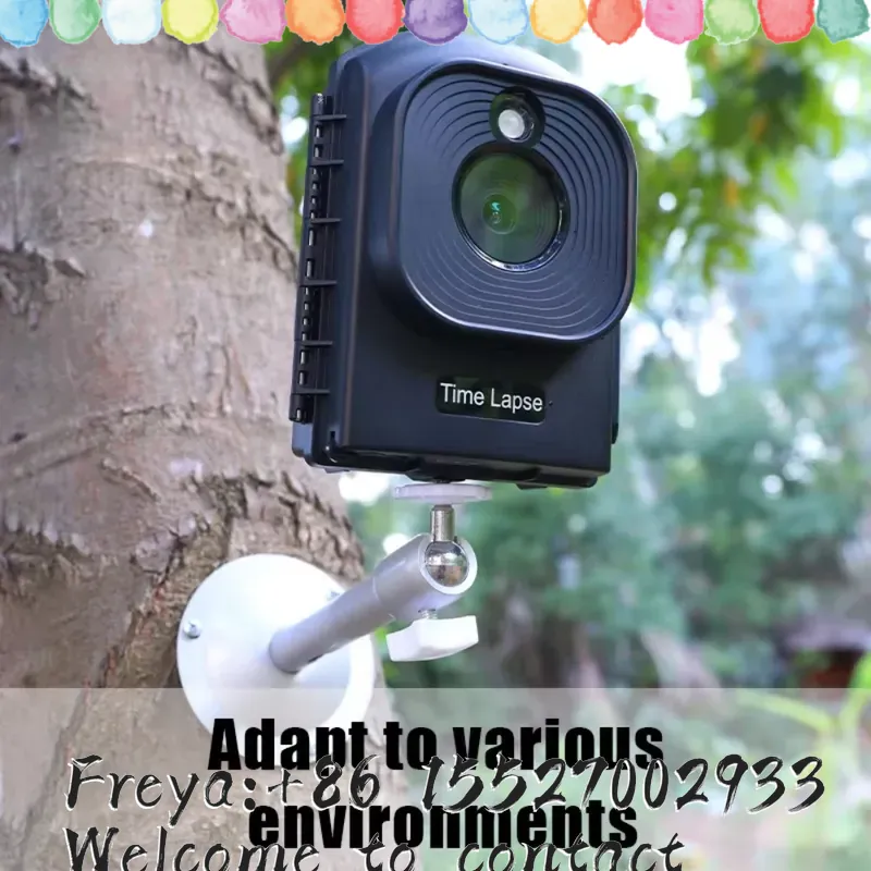 Câmera de Caça e Monitoramento - Outdoor Hunting Videos avaliação e preço